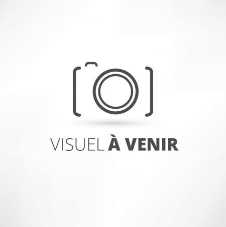 Carole Montillet vous présente en exclusivité son nouveau véhicule Carole Montillet vous présente en exclusivité son nouveau véhicule