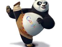 Google Panda 4, ce qui change pour les sites Axecibles